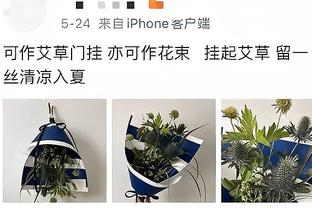 ?好像也没那么惨了❓曼联目前其实仅落后曼城3分